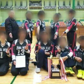 9人制バレーボールチームです