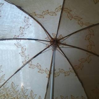 ５月引っ越しの為、至急で　日傘