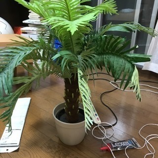 観葉植物 フェイク