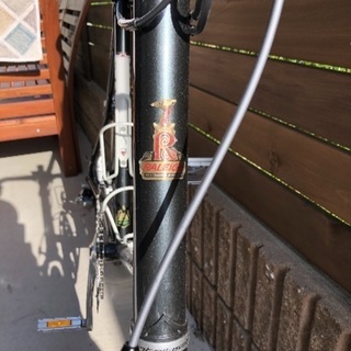 RALEIGH ラレー RSW Carlton 105完成車 2017 ミニベロ