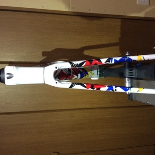 TREK トレック DOMANE  ドマーネ SLR 2017　カンチェラーラ　ツールスペシャルエディション　サイズ　50　中古品 