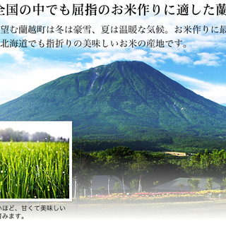 29年度産北海道蘭越産（らんこし米）「ゆめぴりか」玄米20㎏農家直送