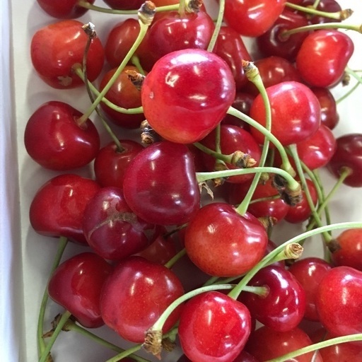 さくらんぼお土産付きバイト 深瀬農園 神町のその他の無料求人広告 アルバイト バイト募集情報 ジモティー