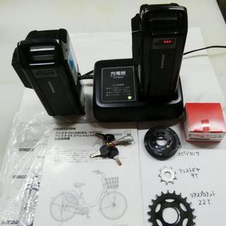 強力アシスト ブリヂストン アシスタDX カスタマイズ電動自転車