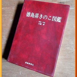 徳島県きのこ図鑑 ◆徳島新聞社◆キノコ◆菌類