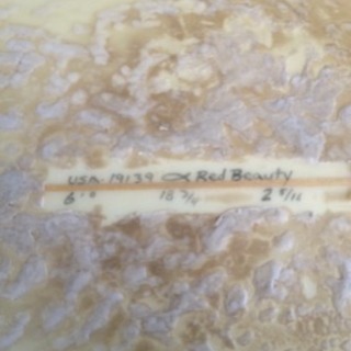 最終値下げ‼ サーフボード 6’0 アルメリック Red Beauty(レッド ビューティー) トム・カレンモデル サーフィン ショート トライフィン オンフィン マリンスポーツ 安 波乗り 初心者 夏