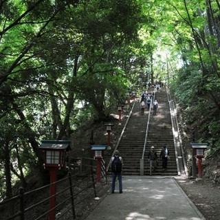 5月12日(土) 爽やかに出会おう！気軽に行ける高尾山に行こう！...