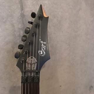 エレキギター（Cort  EVL X4）