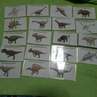 恐竜のカード(手作り) 19枚