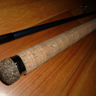 Daiwaショアジギング用ROD/INFEET VR902MHRS（Casting Action