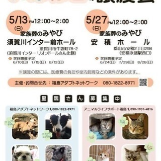 5月 須賀川いぬねこ譲渡会