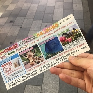 上野動物園 共通入場引換券