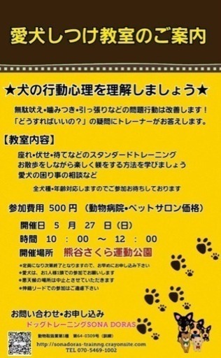 犬のしつけ教室 熊谷市内にて開催 参加費500円 コンソメパンチ24 熊谷のセミナーのイベント参加者募集 無料掲載の掲示板 ジモティー 犬のしつけ教室 熊谷市内にて開催 参加費500円 コンソメパンチ24 熊谷のセミナーのイベント参加者募集 無料掲載の掲示板 ジモティー
