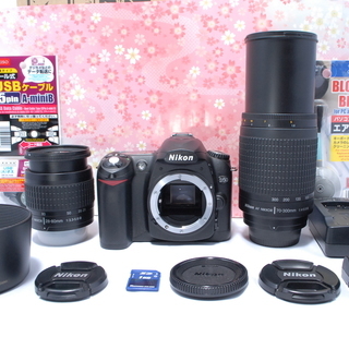 ☆入門機にして可愛い本格派☆ニコン D50 ダブルレンズセット☆