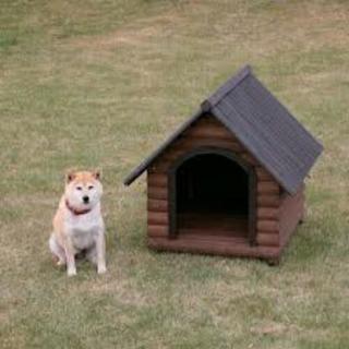 犬小屋 小屋 探してます！