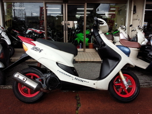 NO.2024 ライブディオＺＸ （ＤＩＯ） ２サイクルエンジン　ハネ付き　ディスクブレーキ　キャストホイール　☆彡