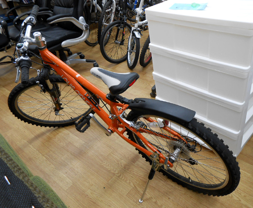 ルイガノ 21段変速 子供用自転車 24インチ LGS-J24 ジュニア MTB