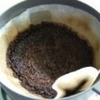コーヒー豆 カス