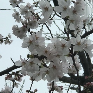 作業員募集中
