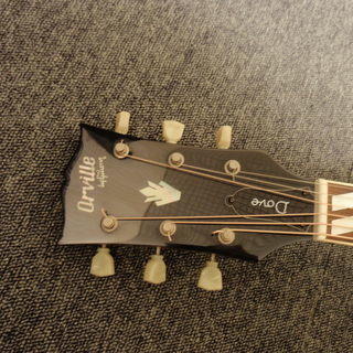貴重！Orville by Gibson Dove