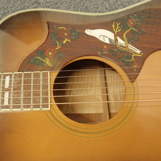 c*z様 オービルbyギブソン　DOVE 楽天市場】【Orville by Gibson】【工房メンテ済】オービルバイ
