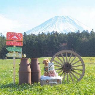 富士山わんわんマルシェ − 静岡県