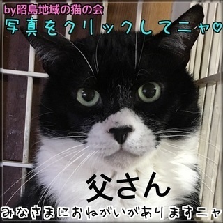 Ame猫ブログ：ニャンピースからのお知らせ♡