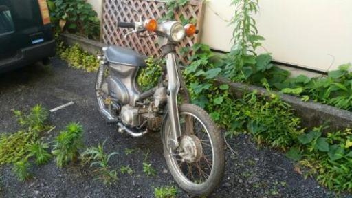 動画有りホンダスーパーカブC5012Vモンキー、ゴリラ