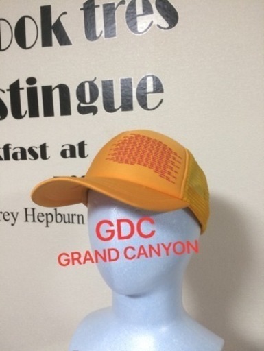 gdc grand canyon에 대한 이미지 검색결과