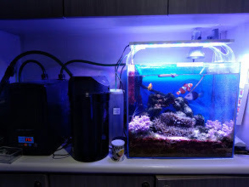 おすすめ 海水用 45 オプティマスled Orca オルカ ライト 照明器具 Vehicleadminservices Com