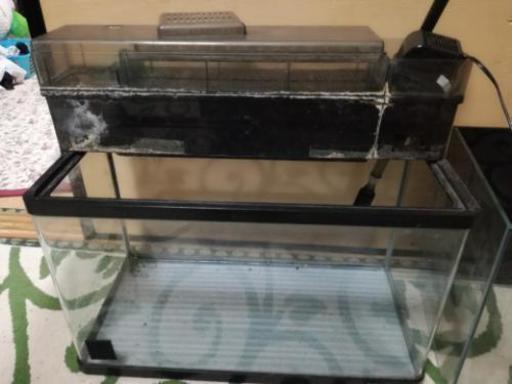 5 17まで 60cm水槽上部フィルターセット At Plants 筑紫野のその他の中古あげます 譲ります ジモティーで不用品の処分