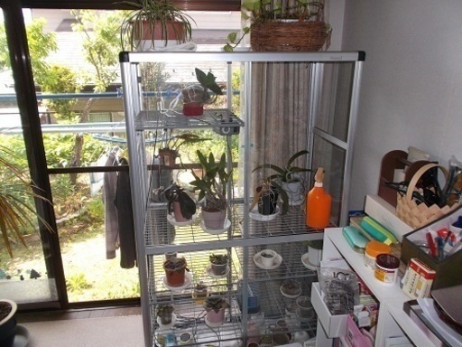 ピカコーポレーション社製のガラスの温室 ヒーター付き 中の植物も差し上げます とら 利府のその他の中古あげます 譲ります ジモティーで不用品の処分