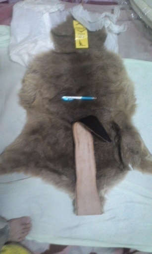 かなり減額しました！！オーストラリア購入の毛皮（稀少なカンガルー