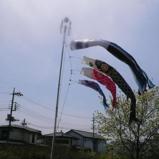 鯉のぼり３個と吹流しとポール