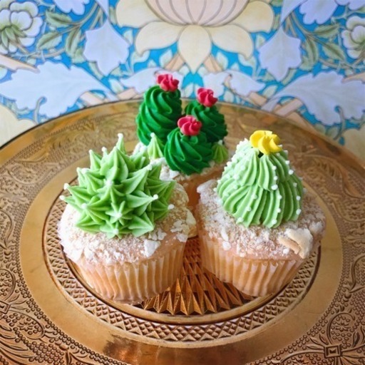 ケーキデコレーション 多肉植物カップケーキ Sweet K 八王子のお菓子の生徒募集 教室 スクールの広告掲示板 ジモティー
