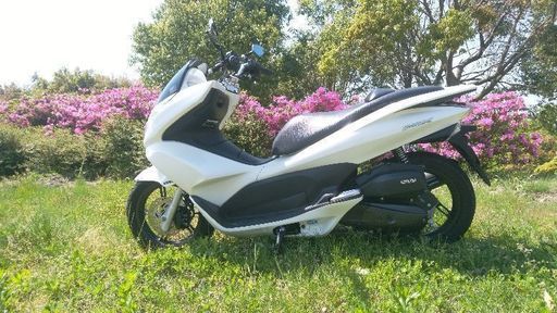HONDA　PCX125 自賠責保険付き