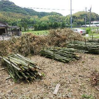 竹林　伐採　20,000円～　竹林問題解決