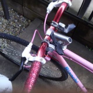 クロスバイク(カスタム多数)