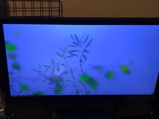 テレビ LG 19V