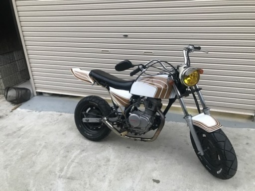 ape エイプ