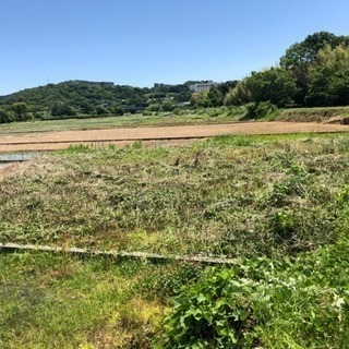 無料で貸します  田んぼ  家庭菜園 ラジコンサーキット