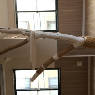 ☆タイムリミットは残り２日！短期取引希望!【中古木製陳列棚W1500×D450×H1210】 ☆タイムリミットは残り2日！短期取引希望!【中古木製陳列棚W1500