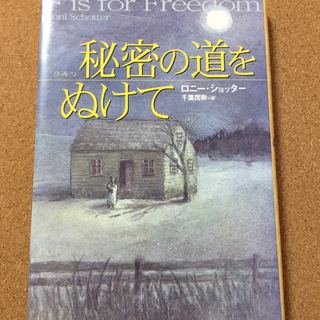 【秘密の道をぬけて】ロニー・ショッター★送料無料