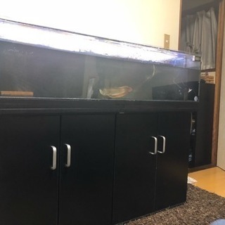 1200カンテツ4面ブラック水槽フルセット！ 製品・仕様 | 株式会社カンテツ
