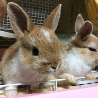 【募集終了しました】 − 神奈川県