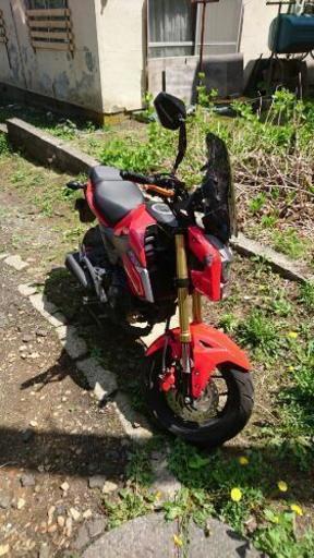 HONDA GROM 16年式 赤 125cc