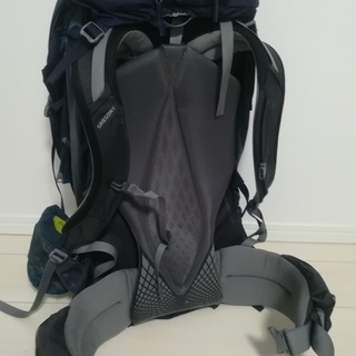 グレゴリー バルトロ65