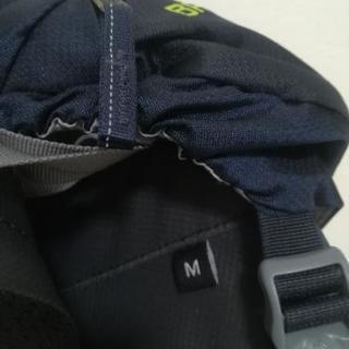 グレゴリー バルトロ65