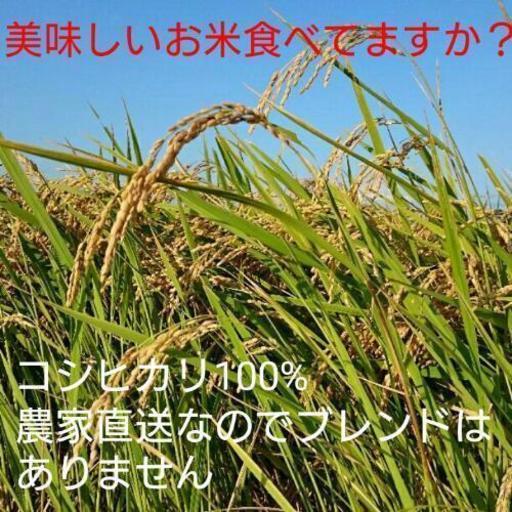 美味しいお米食べて見ませんか？茨城県産コシヒカリ玄米30㎏