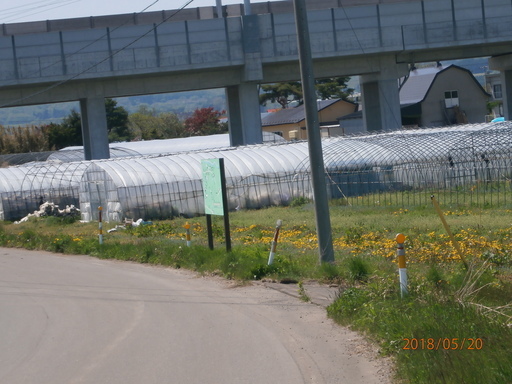 亀田郡七飯町鶴野でビニールハウスのレンタルです。家庭菜園に